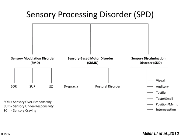 Sensory Processing Disorder Chart